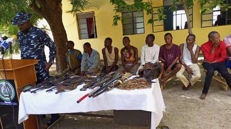 Police detain 1005 suspects, rescue 171 abducted victims, recover 600 stolen animals in Katsina